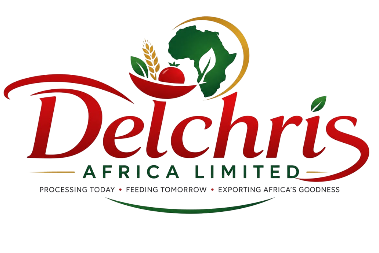 Delchris Africa Logo
